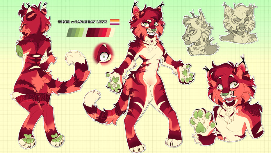 Asami Custom Reference Sheet Character for Strayinchains on Toyhouse